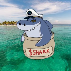 As Shark Token Rises 134,948% in 24 Hours, Another Token Eyes New Exchange Listings