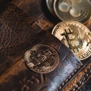 Bitcoin Wallet Comes Alive After Over a Decade of Inactivity