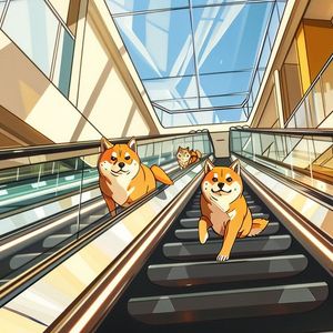 Meme Coin News: Top 10 Base Meme Coins, BONK Partners With TipLink