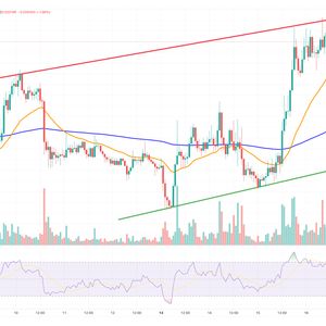 Jasmy Coin Price Prediction as JASMY Rockets Up 12% – Are Whales Buying?