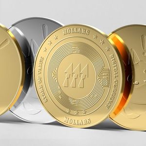 Mobs of Bonk Inu Token Traders Now Buying Mollars ICO