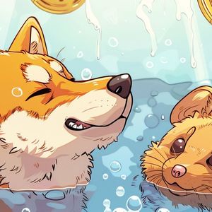 Hamster Kombat Set for Exchange Listing – Is Playdoge Next?