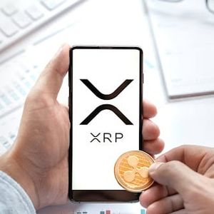 XRP Ledger Sees Highest Activity Since March: Price Prediction