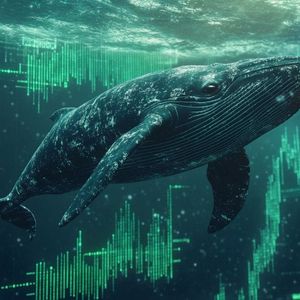 Is It Too Late to Jump Into Solana? Whale Activity Suggests Big Moves Ahead