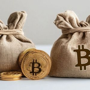 German Parliament Member Joana Cotar Advocates Bitcoin as a Solution to Inflation