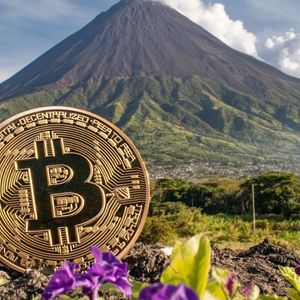 El Salvador Survey: Only 7.5% of Citizens Use Bitcoin