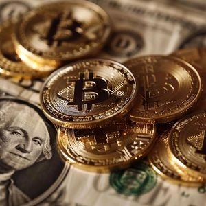 European Central Bank Claims Early Bitcoin Investors Exploit New Buyers