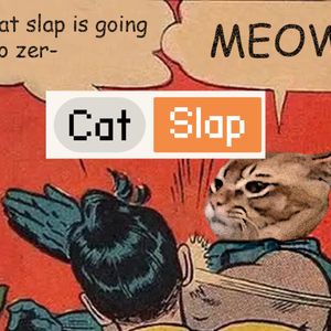 DOGE, Pepe, Popcat Stall But New Meme Coin Catslap (SLAP) Price Explodes 50% Today