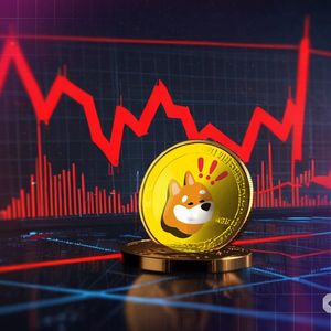 Why Is BONK Crashing? Major Losses Hit Meme Coins as Bitcoin Drops Below $100K