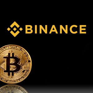 Binance Coin Price Prediction as BNB Stays Above $250 – Can it Spike to $400 soon?