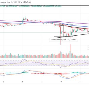 Terra Luna Classic Price Prediction – Can LUNC Recover and Hit $1