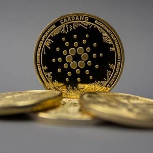 Cardano Price Set for a 50% Crash? Watch This Key Level