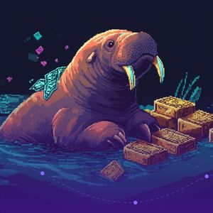 Walrus Foundation Raises $140 Million for Decentralized Storage Networks