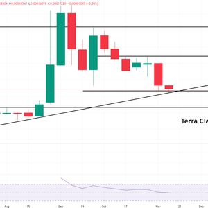 Terra Luna Classic Price Prediction as LUNC Sees $100,000,000 Trading Volume Come In