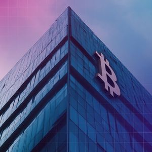 Dubai-Based Firm to Invest $8.8B to Develop Blockchain Financial Hub in Maldives