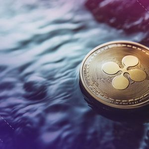 Ripple Whale Moves $782M in XRP: How Could XRP Price React?