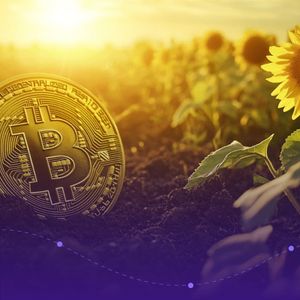 Ukraine Plans to Create Bitcoin Reserve With Binance, Bill in Progress: Report