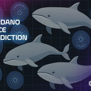 Cardano Price Prediction: On-Chain Data Shows Whales Accumulated While Retail Sold – Is a Parabolic Move Coming?