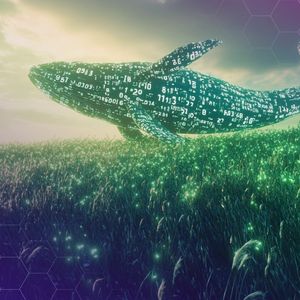 Solana DePIN GRASS Slips 15%, Volume Jumps 55% on Whale Accumulation