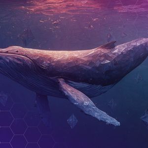 Ethereum Whale Accumulation Hits 7-Year High with 871K ETH Surge — What’s Next for ETH Price?