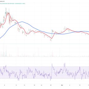 Terra Luna Classic Price Prediction – Can LUNC Reach $1 in the Next Bull Market?