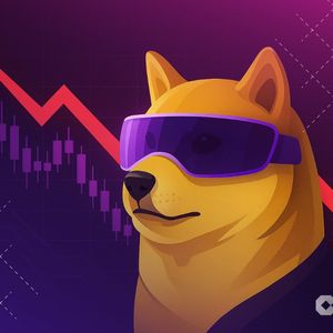 DeFi Dev Corp Launches Dogwifhat Validator: Staking Rewards Split with Community – Here’s How
