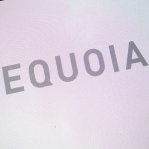 Venture Capital Firm Sequoia Apologizes to Fund Investors for $150 Million Loss on FTX
