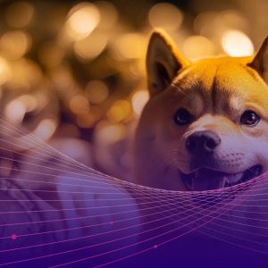 Dogwifhat ($WIF) Defies Memecoin Stereotypes With 21% Jump and Solana Validator Launch