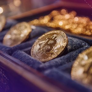 Glassnode’s James Check Warns Bitcoin Treasury Boom Could Be Short-Lived