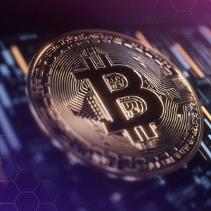$200M Floods Into Bitcoin ETFs for 3 Straight Days – New Bull Market Starting?