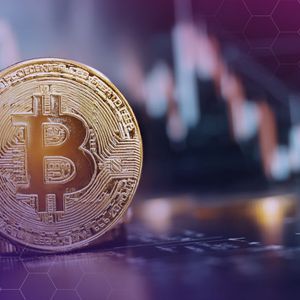 Anonymous Whale Acquires $792M in Bitcoin – Bull Run Still On?