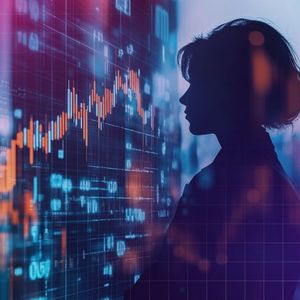 The Influx of Capital and the Coexistence of Risks: The Other Side of Solana’s Investment Logic