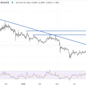 Dogecoin Price Prediction as $800 Million Trading Volume Comes In – $1 by 2023?