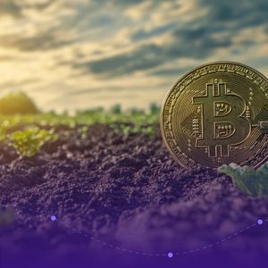 Crypto Market Prospect: After the Washout, the Soil Looks Richer