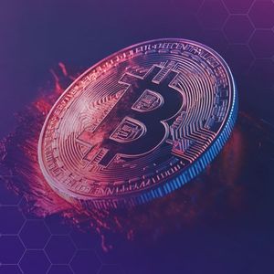 Long-Term Bitcoin Whales Transfer Coins at 4-Month High — Here’s Why Analysts Think It’s Bullish