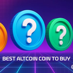 Best Altcoin Coin to Buy During the Crypto Crash – 20 November