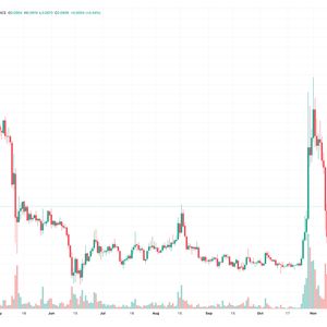 Is it Too Late to Buy Dogecoin? 3 Traders Give Their DOGE Predictions