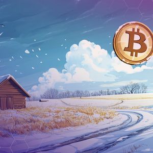 Bitcoin Holds Above $92,000, But Bears Have Not Left The Stage