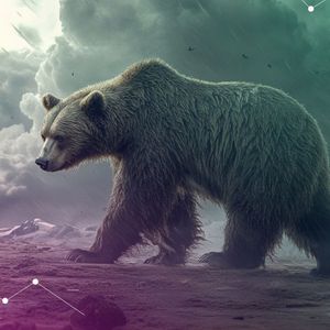 A Storm Is Coming and Bear May Follow, Expert Says