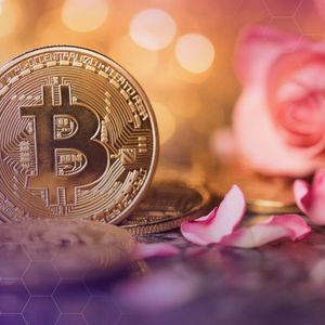 Bitcoin Adviser Reveals How Client Lost Retirement Funds to Romance Scam