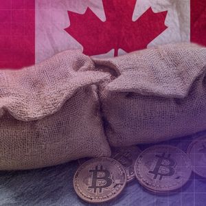 Canadian Firm Matador Gets Ontario Regulator’s Nod to Raise $58M for More Bitcoin Buys
