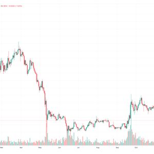 Is It Too Late to Buy XRP? Crypto Experts Give Their XRP Predictions