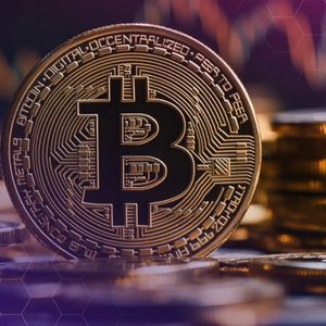Spot Bitcoin ETFs Pull In $355M, Ending 7- Day Bleed — Is Liquidity Finally Turning?