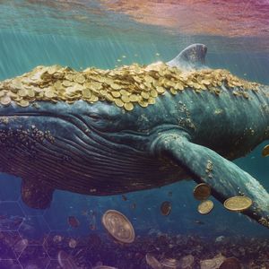 Asset Manager SkyBridge Prepares For Choppy Markets, Keeps Faith In Bitcoin