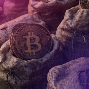 Winklevoss Brothers Donate $1.2M ZEC to Shielded Labs to Support Zcash Network