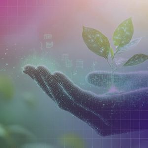 Crypto Payments Network Mesh Raises $75M Series C at $1B Valuation