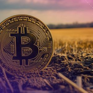 Morgan Stanley Creates Digital-Asset Strategy Post, Names Long-Serving Exec To Lead