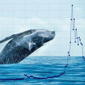 Crypto Whales are Accumulating These Little Known Altcoins – Here’s Why