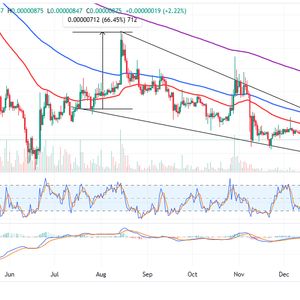 Shiba Inu Price Prediction as SHIB Spikes Up 4% – Here’s Where It’s Heading Next