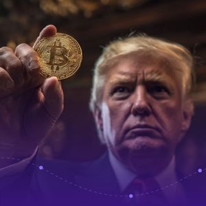 Lending Pool Heist: Are Trump Crypto Insiders Setting Up To Crash DOLO Crypto?